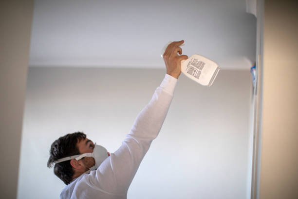 Mold Testing and Removal in Cayce, SC